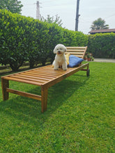 Carica l'immagine nel visualizzatore di Gallery, Lettino prendisole in legno iroko